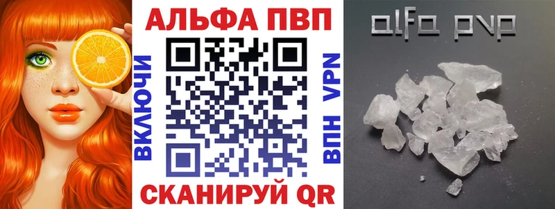 darknet состав  Гаджиево  Альфа ПВП СК КРИС 
