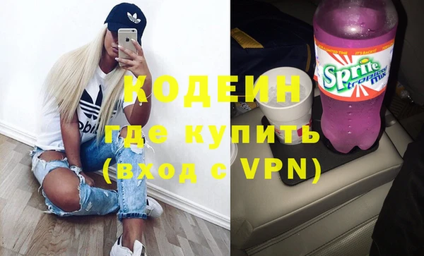 сатива Сатка