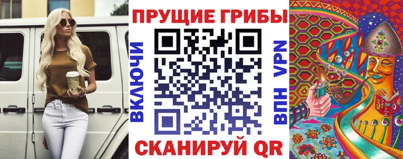 Псилоцибиновые грибы мицелий Гаджиево